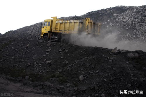 郑州 今年关闭退出的煤矿矿井 每处奖励600万元