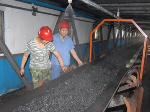 刚挖出来的煤,为什么要水洗后才能用 不洗会有哪些严重的后果