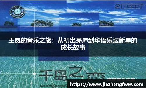 王岚的音乐之旅：从初出茅庐到华语乐坛新星的成长故事